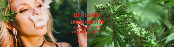 дживик Зеленокумск
