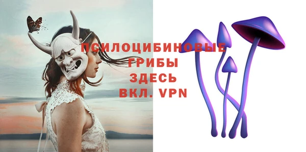 дживик Зеленокумск