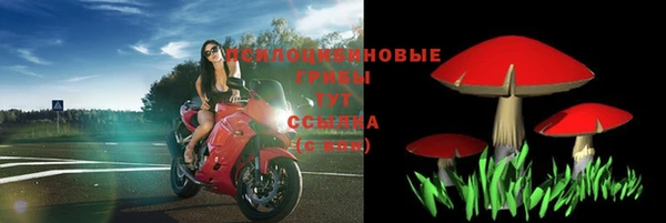 тгк Зеленодольск