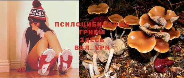 тгк Зеленодольск