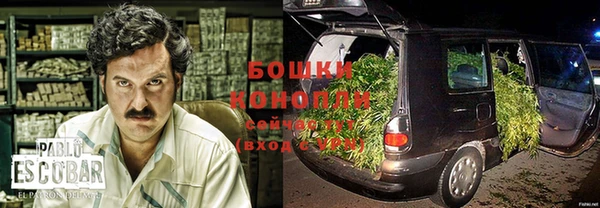 дживик Зеленокумск