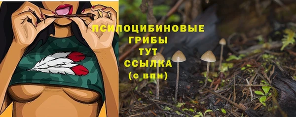 тгк Зеленодольск