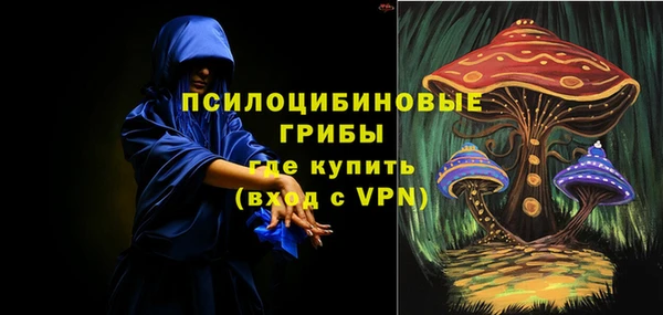 индика Иннополис