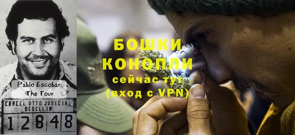 дживик Зеленокумск